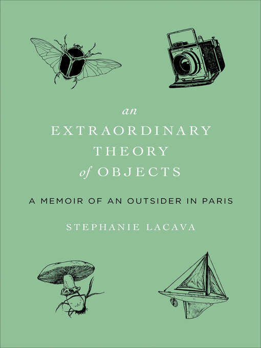 Title details for An Extraordinary Theory of Objects by Stephanie LaCava - Available